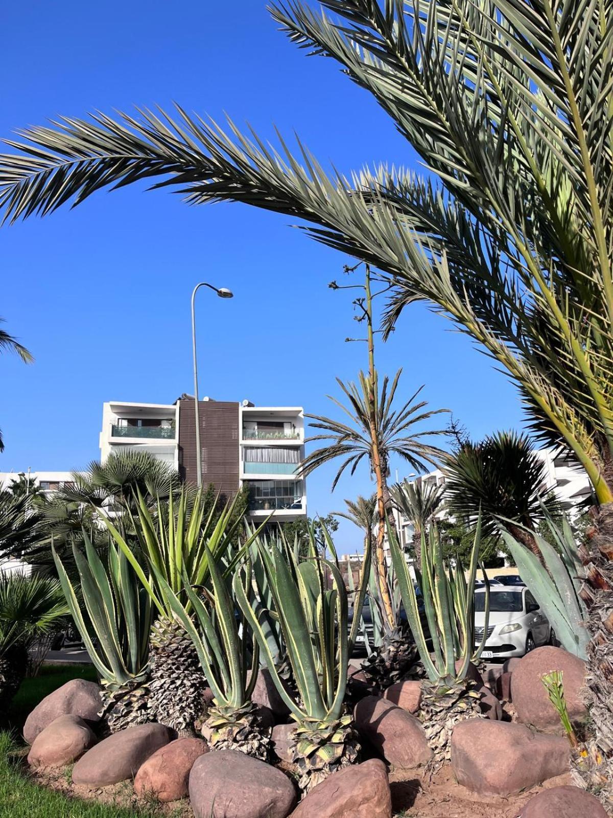 Appartement de Haut standing en résidence Agadir Exterior foto